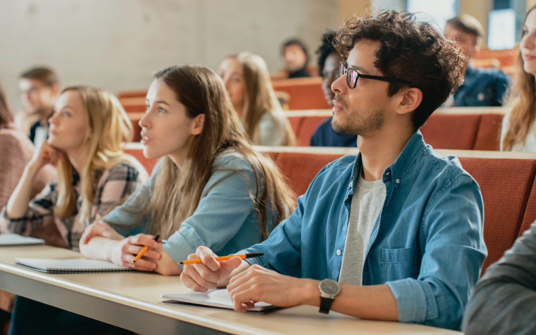 Création ou relance d’un site internet pour un établissement d’enseignement